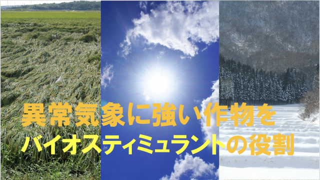 Editor's Eyes 知らなきゃ損する バイオスティミュラント 始めるなら今!〜その2(中級編)