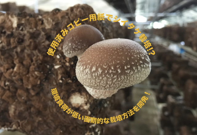 Editor’s Eyes 使用済みコピー用紙でシイタケ栽培?環境負荷が低い画期的な栽培方法を開発!日本工業大学