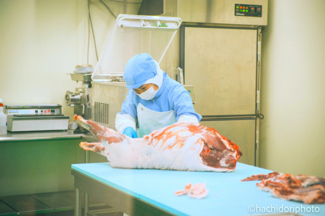 農地を守れ！「有害獣が雇用を生んだ！」農家ハンターが作った地域活性化のしくみ