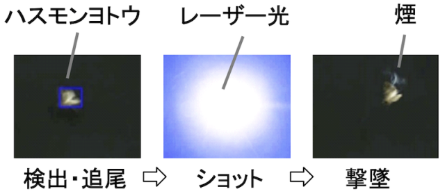 飛んでいるハスモンヨトウをレーザー光で撃墜/大阪大学レーダー科学研究所