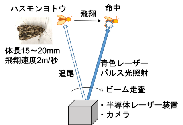 半導体レーザーによる飛翔害虫駆除システムの撃墜技術の模式図/大阪大学レーザー科学研究所提供