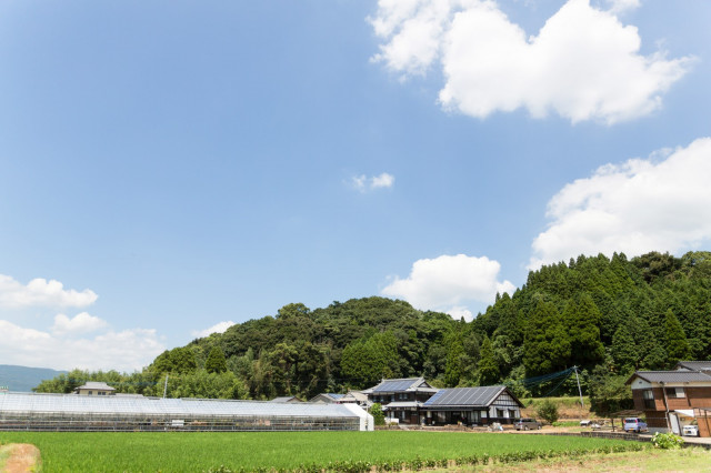 トマト栽培に最適なビニールハウスの種類や価格の相場が知りたい