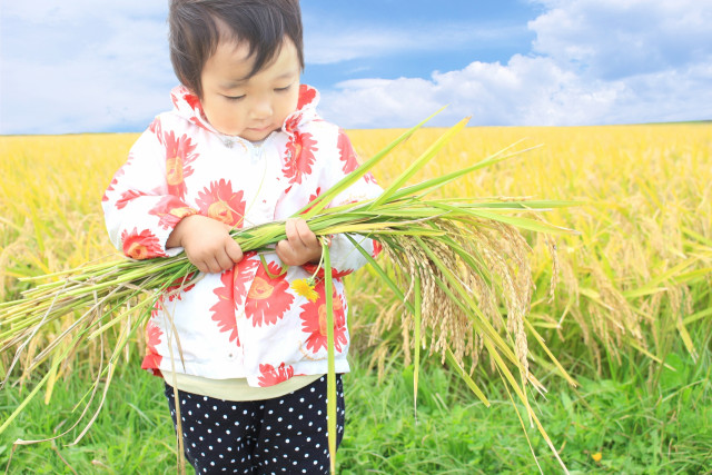 どうする?農家のあとつぎ問題「日本の農業がこの先100年 続くために何ができるのか?」