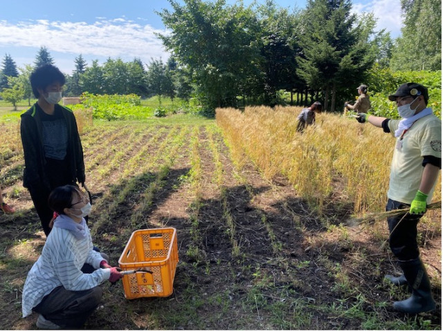 Editor's Eyes 農業の危機「農大生なのに農家にならない!」教育は今何ができるか?