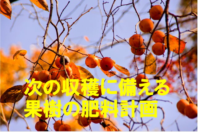 Editor's Eyes 来年の収穫に備えて、秋冬こそチャンス到来！果樹の肥料計画を学ぼう