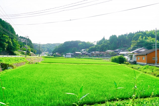 農地を転用して宅地や駐車場にしたい。どこにどんな手続きをすればいい？