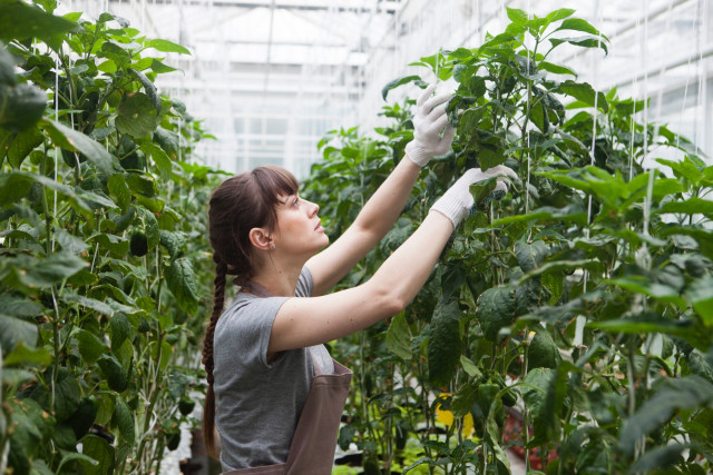 外国語はわからないけど、外国人実習生と打ち解ける方法が知りたい!