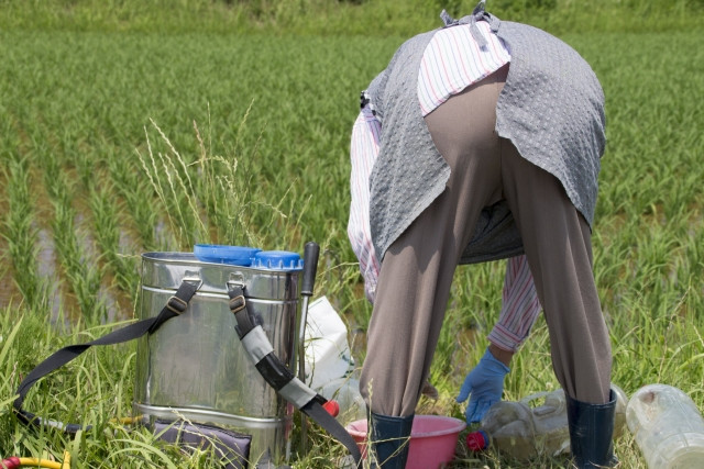 石灰硫黄合剤を散布する噴霧器のメンテナンス方法を教えてください