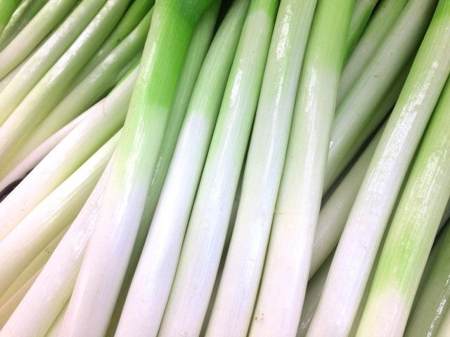 九条ネギを栽培していますが、株あたりの本数を増やす方法が知りたいです