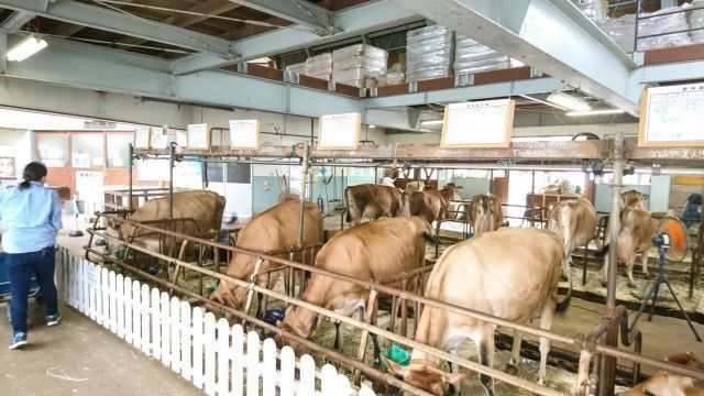 藁(わら)の湿気対策を教えてください!牛に食べさせると体調を崩すことがあります