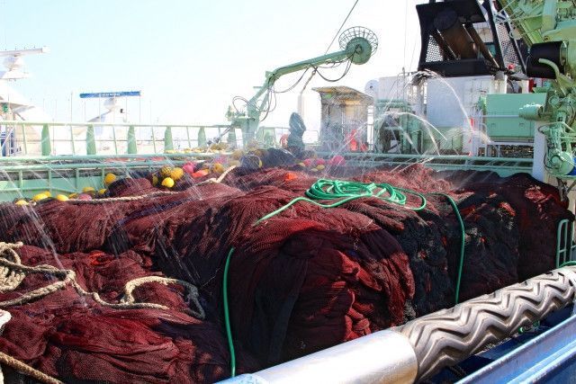 近海に魚がいなくなった…原因はなに？対策を教えてください