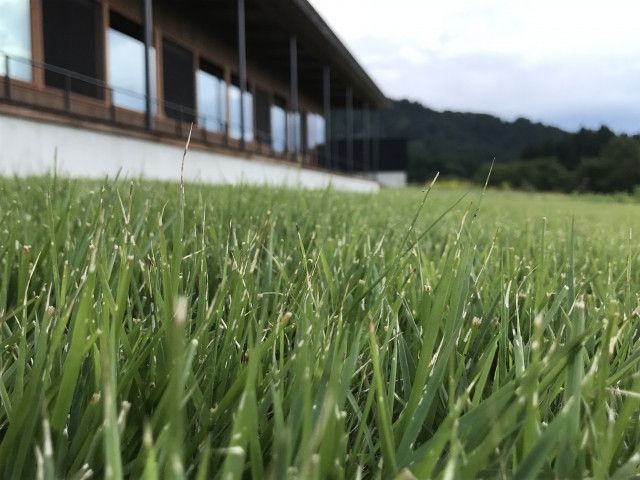 農業高校ではどんな勉強ができるのでしょうか？卒業後はみんな農家になるんですか？