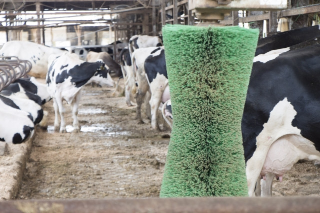 牛につくダニやシラミへの良い対策方法はありませんか?