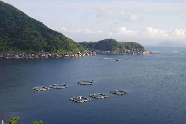 ブリの養殖はどのように行われているのでしょうか？