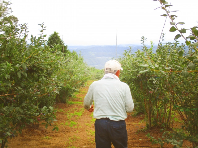 野菜農家の後継ぎ。やる気がある人なら家族以外でもいい。研修生や新規就農希望者と知り合うには？