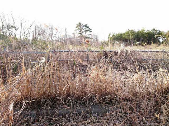 耕作放棄地の雑草を私ひとりで除草しています。相談できる場所はありませんか?