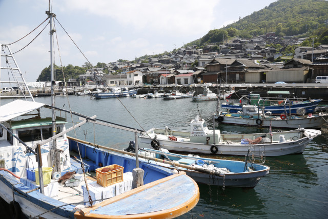 遊漁船への転業や漁業との兼業を検討中。どんな免許が必要でしょうか？