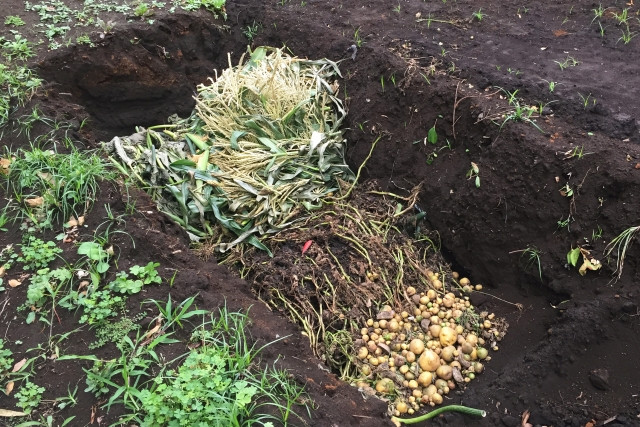蔓(ツル)や規格外の野菜を残渣として圃場に放置できなくなってしまった。どうすればいい?