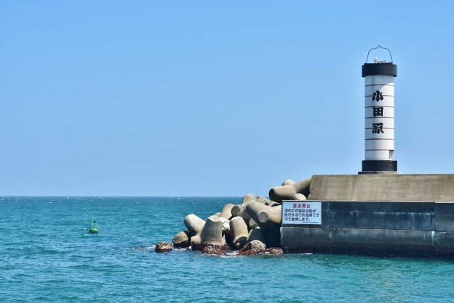 相模湾ではどのような定置網漁が行われていますか？どんな魚が獲れるの？