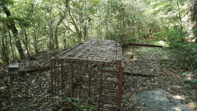 イノシシ捕獲のため箱罠に入れるエサで効果的なものは何ですか?