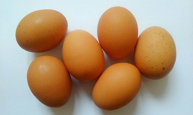 たまごを自動販売機で売りたい。どんなことに注意すべき？