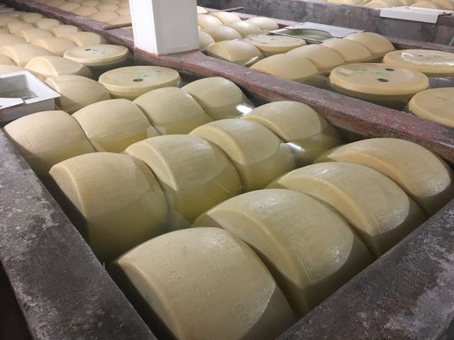 ブランド化したチーズの販売法を学べる、オンライン講座を教えてほしい