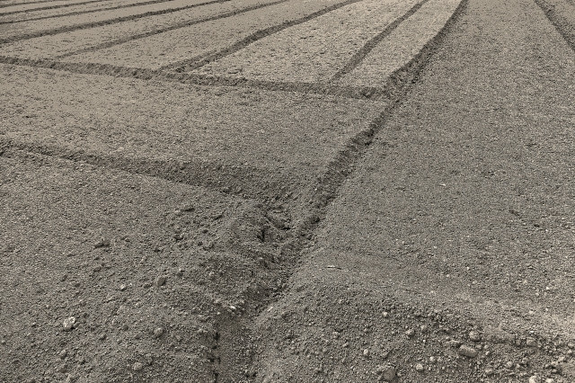 砂地の土壌の保肥力を高めるには、どうすればいいですか？