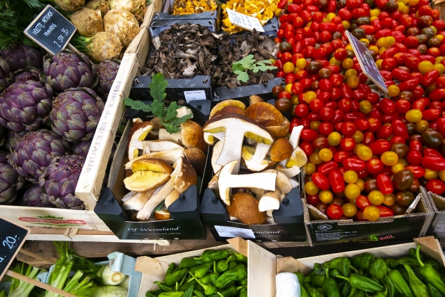 海外の野菜の種を栽培するために必要な手続きは?