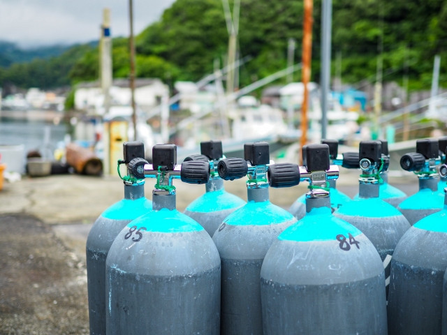 養殖場のいけすで死んだ魚を回収するために潜水してい