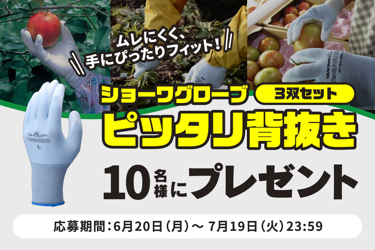 ムレにくく、手にぴったりフィット！ショーワグローブ「ピッタリ背抜き」を10名様にプレゼント！