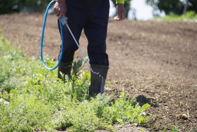 雑草をなくしたら畦が崩れてきた。スギナだけ残す除草剤の撒き方を教えて