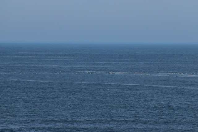 定置網が設置されている位置を知るにはどうすればいい?