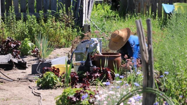 出荷前に野菜は洗うべき？洗わないべき？