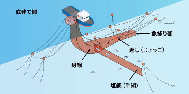 底建網漁業の仕組み