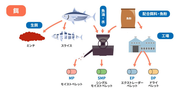 養殖魚に与える餌を説明している図