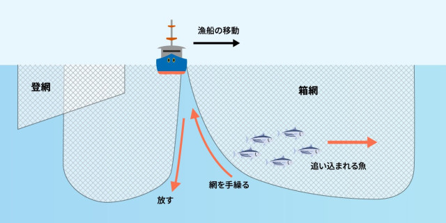 定置網の箱網の役割が知りたい！