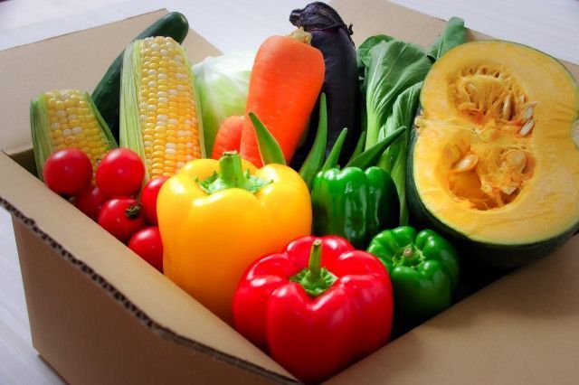 インターネットで販売を開始しましたが、野菜をおいしい状態で届けるコツは?