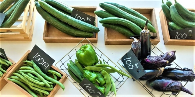 委託販売を始める際に、確認しておいたほうがいいことは?