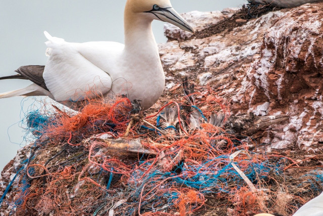 プラスチックごみによる海洋汚染が心配。ゴミ対策でできることは?