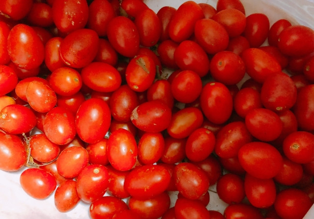 収穫ロボットの共同開発を持ちかけられているが、ノウハウの流出が心配