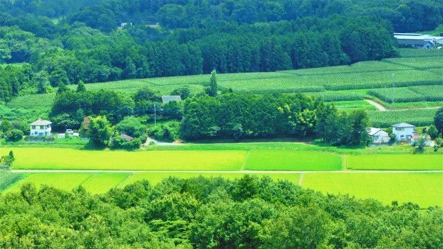 収量が少ない田んぼを地主に返納したいのですが、どうすればいいですか?