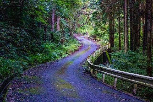 竹が道路にせり出しているのに自治体が対応してくれない。他の集落ではどうしていますか？