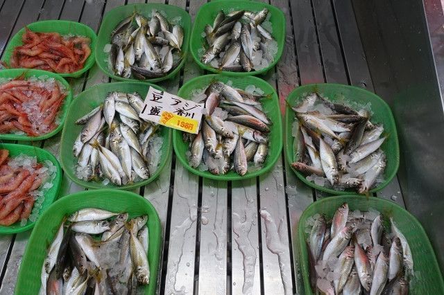 魚の行商をしたいが届け出や認可が必要なのでしょうか?