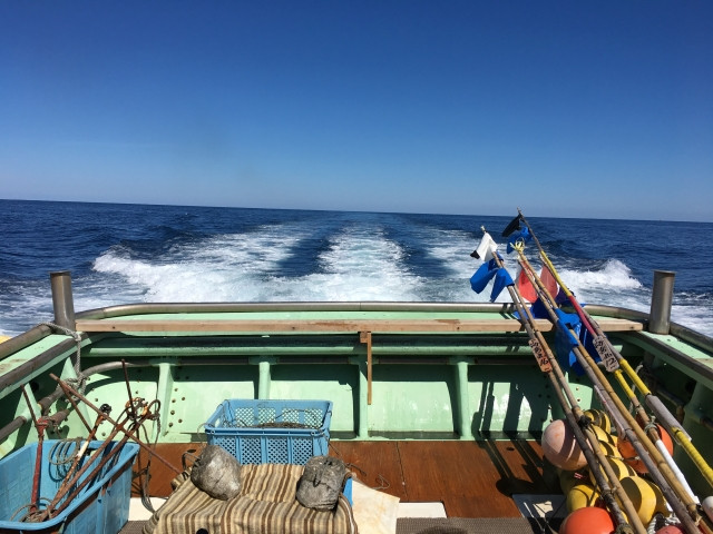 腰に巻くタイプのライフジャケットが気になる!どんなもの?