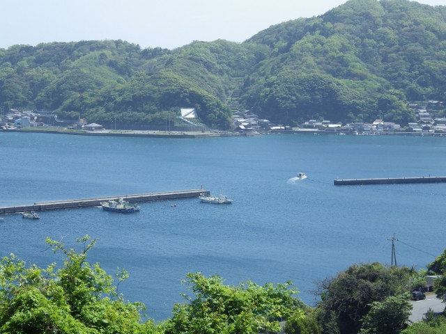 地域で連携し、地元の漁業や魚食文化を盛り上げたいです。参考になる事例はありますか?