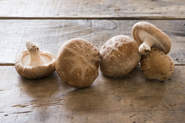 しいたけを原木栽培で生産する方法を教えてください