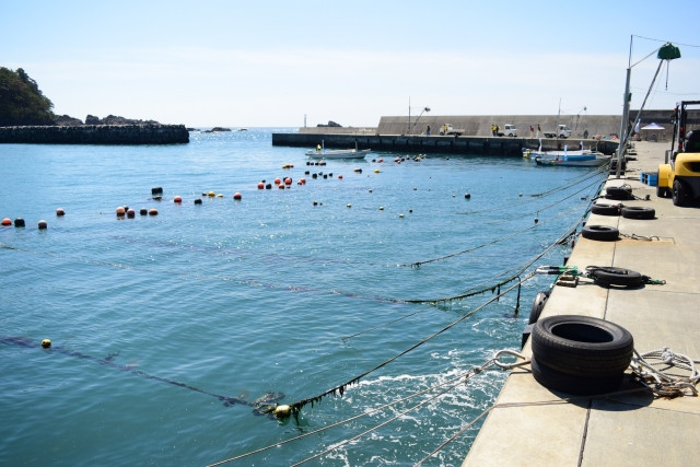 大船渡の定置網漁について知りたい!漁港や漁獲できる魚種は?