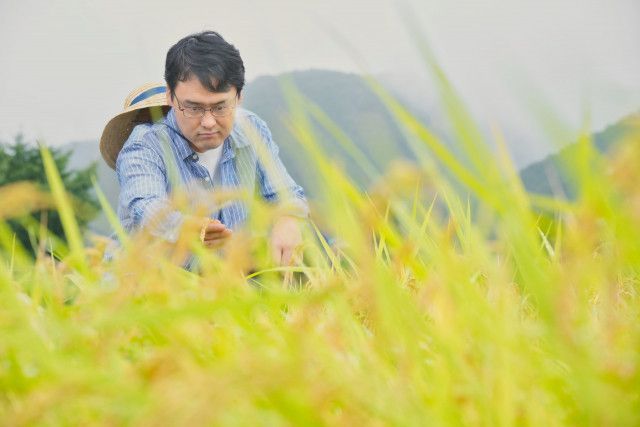 田んぼの管理を任せている人が高齢で心配。万が一のためにどう備えるべき?