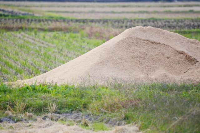 田んぼにもみ殻をすき込んでいますが、土に戻りづらくなっ