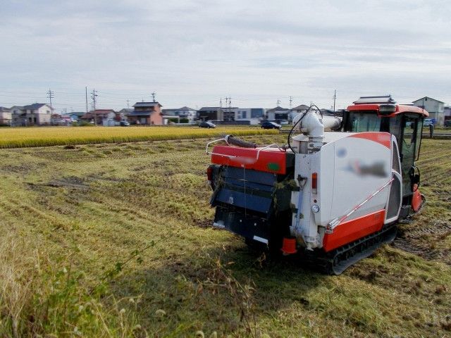 食用米と飼料用米を作っていますが今後の需要はどうなりますか?葉物野菜に転作するならおすすめは?